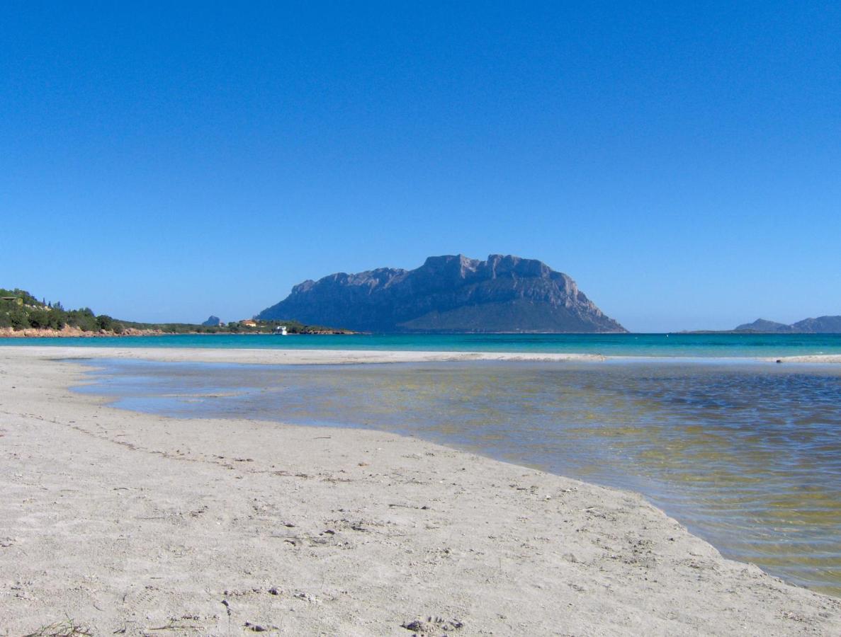 Il Mare Di Olbia Holiday Apartment Bagian luar foto